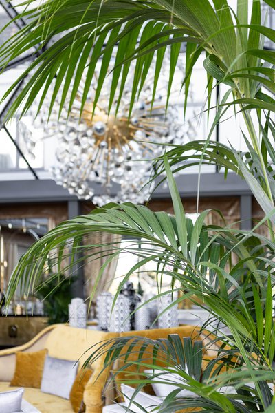 Green design for Edem Kyiv