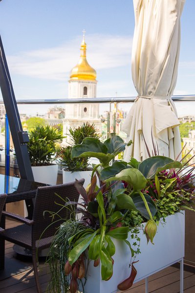 Тераса у стилі Nice & Sexy для готелю Hyatt Regency Kyiv