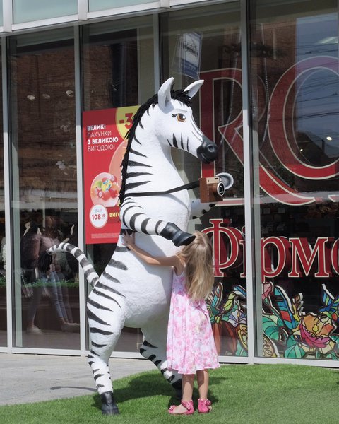 Street decorations "Funny Zebras" for Roshen in Vinnytsia