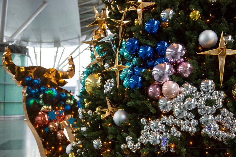 Рождественская елка для Международного аэропорта "Борисполь"