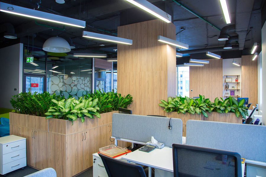 Mondelez Office Greening
