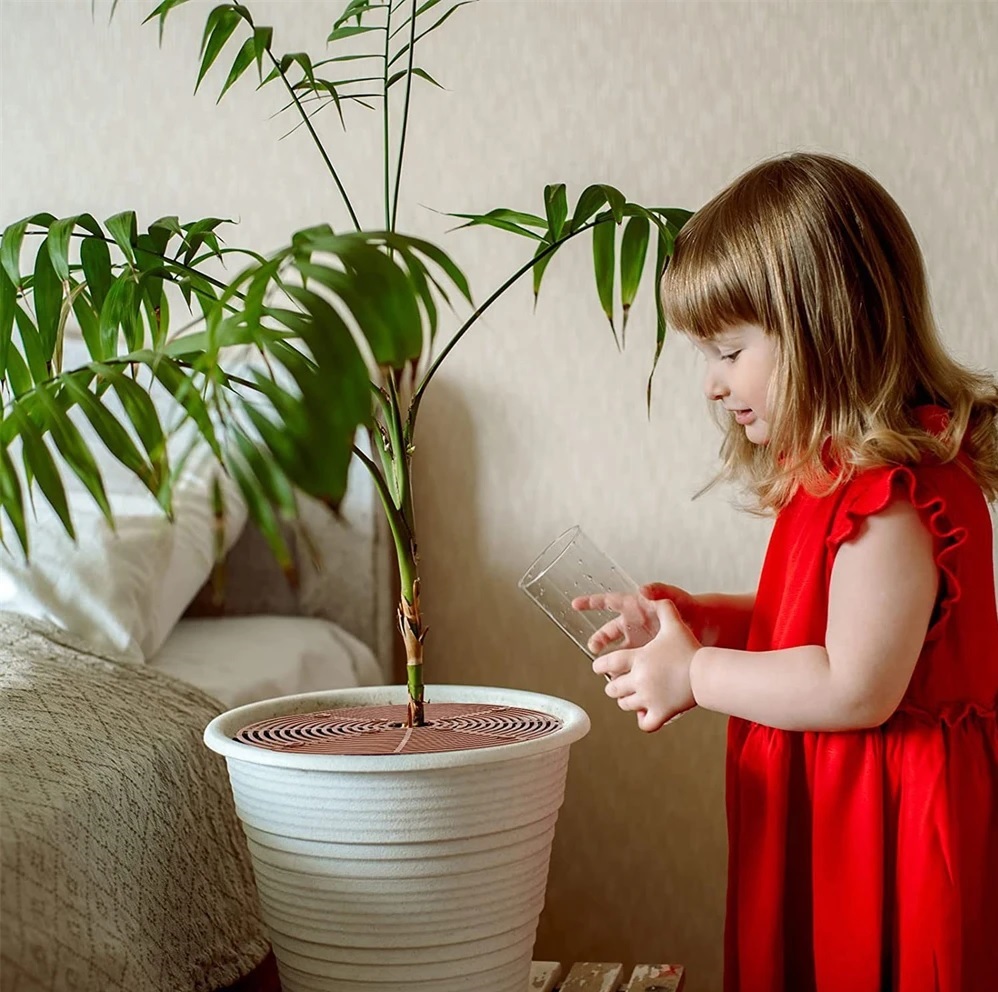 Indoor flowers that are safe for children