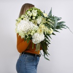Bouquet of white and green hydrangea