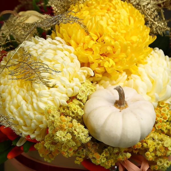 Composition with chrysanthemum and pumpkin