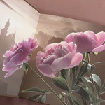 Книга «Принцесса Пионов»