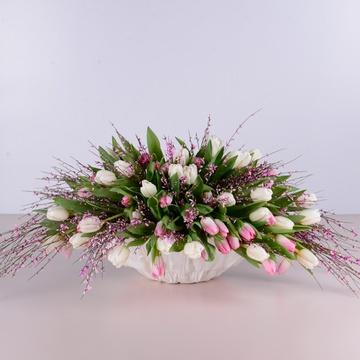Composition of 101 white-pink tulips in a vase
