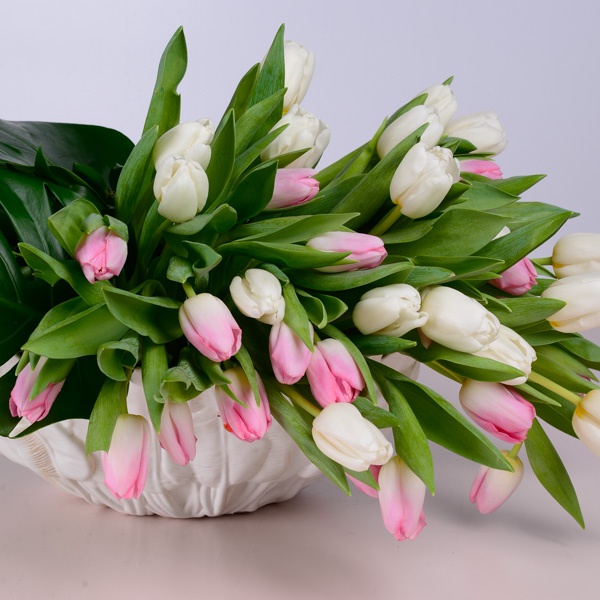 Composition of tulips and greenery in a vase