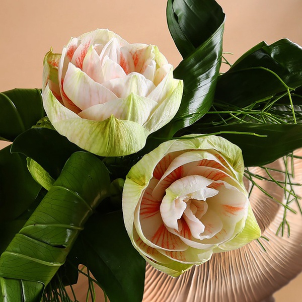 Amaryllises in a lunar spiral vase