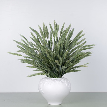 Set Vase Sofia and green wheat
