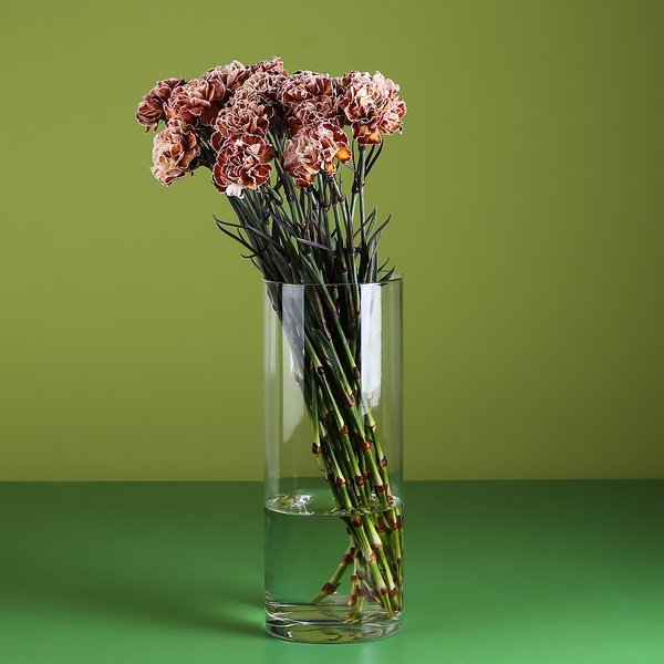 Brown carnation in a vase