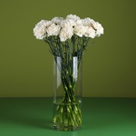 21 cream carnations in a vase
