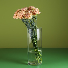 Peach cloves in a vase