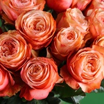 21 троянда Кахала у вазі