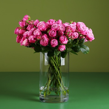 Lady Bombastic roses in a vase