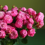 21 роза Леди Бомбастик в вазе