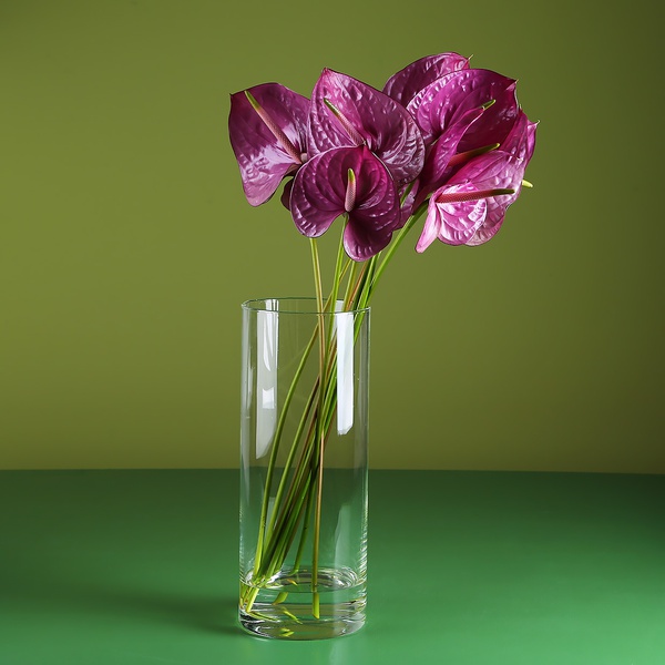 9 фиолетовых антуриумов в вазе