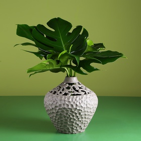 Monster in a vase