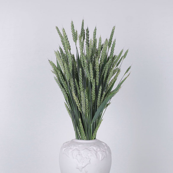 Set Vase Anna and green wheat