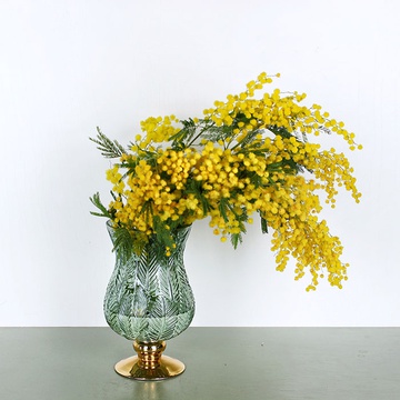 Mimosa in a vase