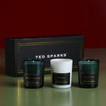 Подарунковий набір міні свічок від Ted Sparks