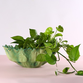 Керамическая ваза полусфера "Botanical Touch" зеленая