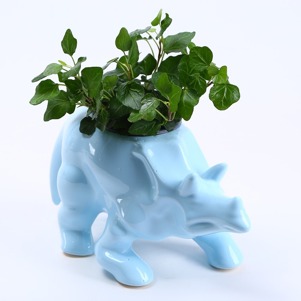 Pot Triceratops blue
