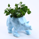Pot Triceratops blue