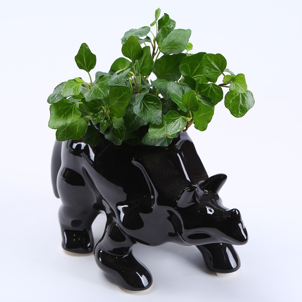 Pot Triceratops black