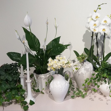 Set of vases with plants "Nordic ivy"