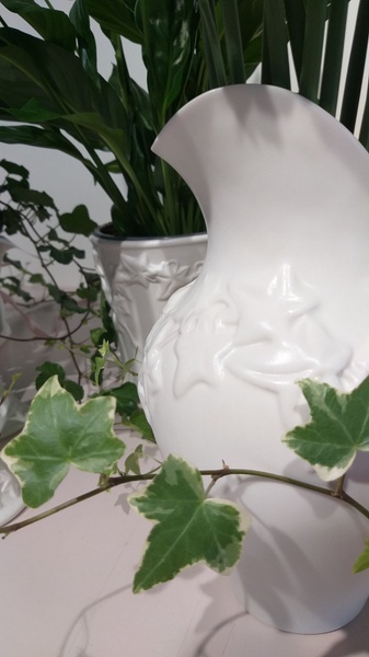 Набор ваз с растениями"Nordic ivy"
