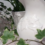 Набір ваз з рослинами "Nordic ivy"