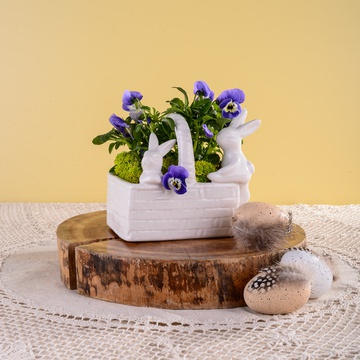 Easter composition with pansies