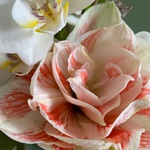 Квіткова композиція в персиковому кашпо