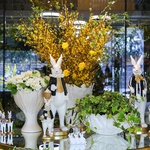The elegant “Spring Story” décor styling