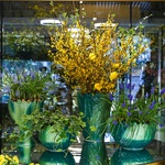 Элегантное оформление «Весенняя гармония»