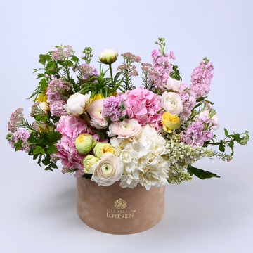 The “Melody of Petals”