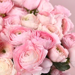 Кошик «101 ніжність»