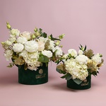 Композиція «Тиха елегантність»