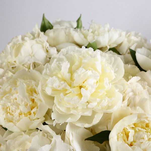 The "White Velvet" bouquet