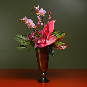 Interior composition with phalaenopsis