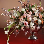 Floral interior composition white-peach
