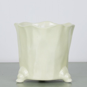 Cache-pot lemon