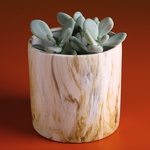 Plant pot beige and white