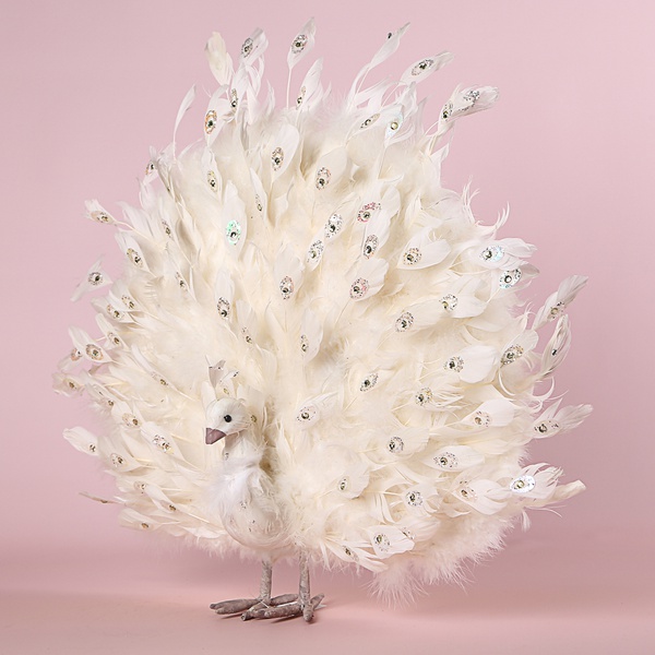 Белый Павлин