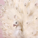 Белый Павлин