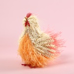 The dried flower hen S
