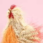 The dried flower hen S