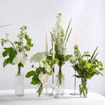 “White and Green” - decor rental for corporate events and themed parties
