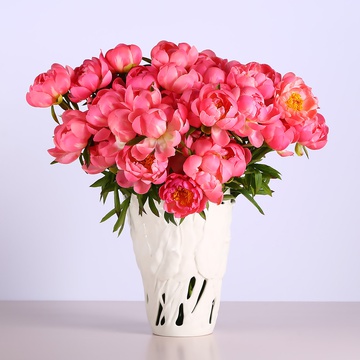 Bouquet of 35 coral peonies in a vase