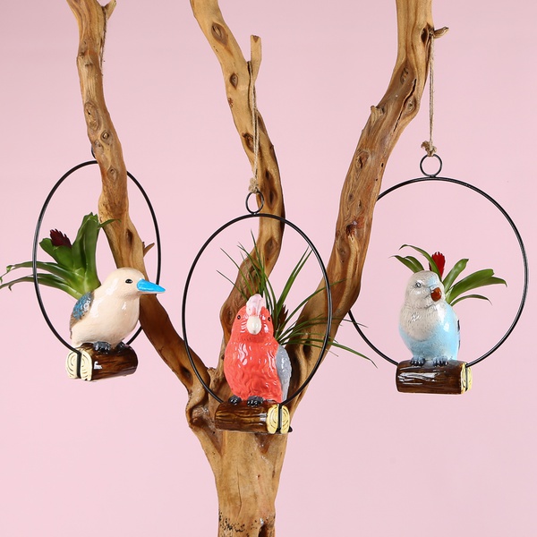 Bromelia mix in a decorative planter “Birdie Mood”